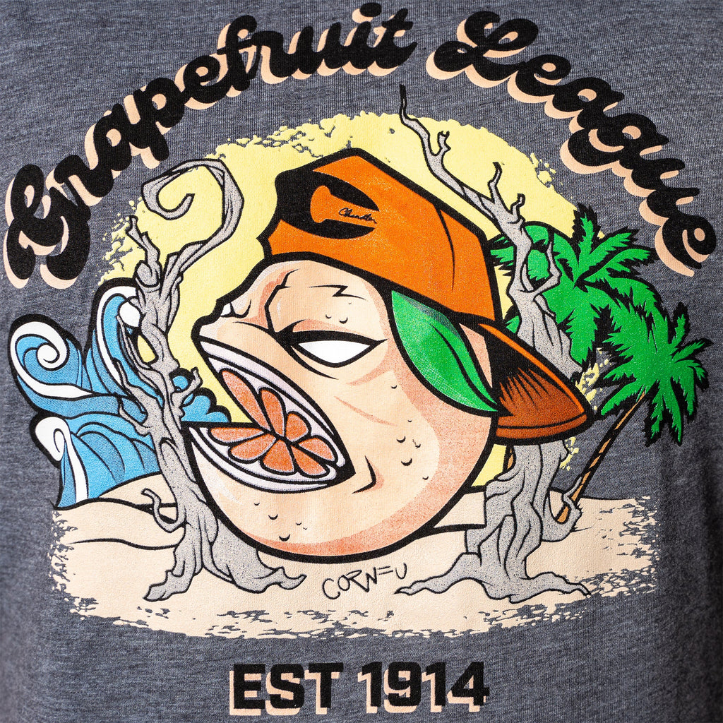 Spring Training Tri-Blend Short Sleeve Hoodie